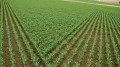 RTK AMS 04